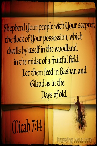 Micah 7:14 Shepherd Your People (brown)